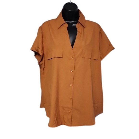 SHEIN Blouse - Picture 1 of 3